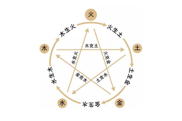 53岁女人梦到蛇什么意思_中年蛇梦解析