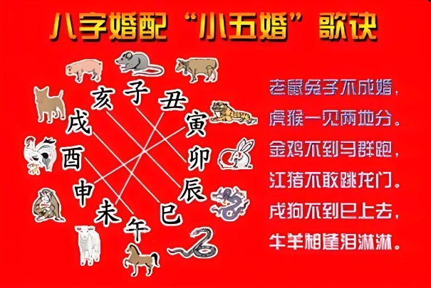 2次梦见自己怀孕了图片