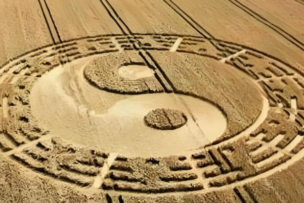 88年属什么的_1988属龙解读