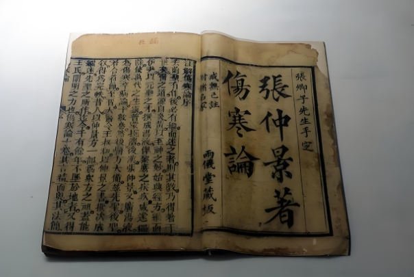 40多岁女人梦见蛇好害怕_梦见蛇含义