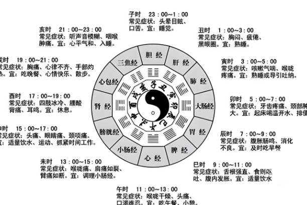 12生肖相生相克表