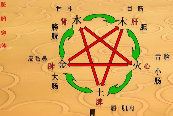 53岁女人梦到蛇什么意思_中年蛇梦解析图片