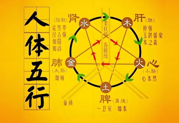 50多岁女人梦见猫