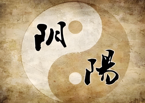 12生肖婚姻匹配