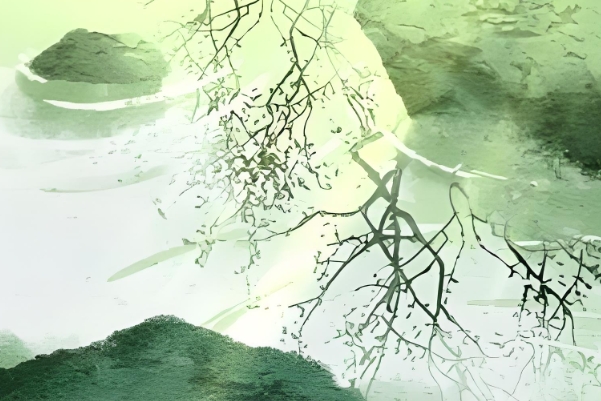 40多岁女人梦见蛇缠身_心理解析