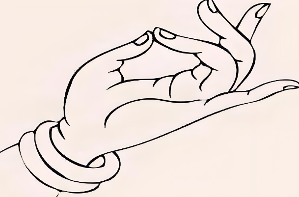 12生肖属相表图片