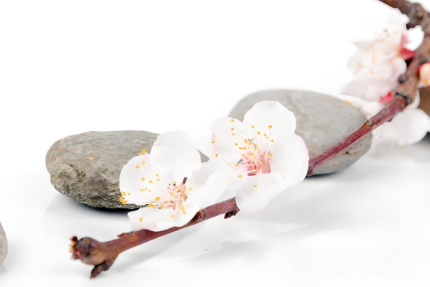 10秒测出怀男孩和女孩