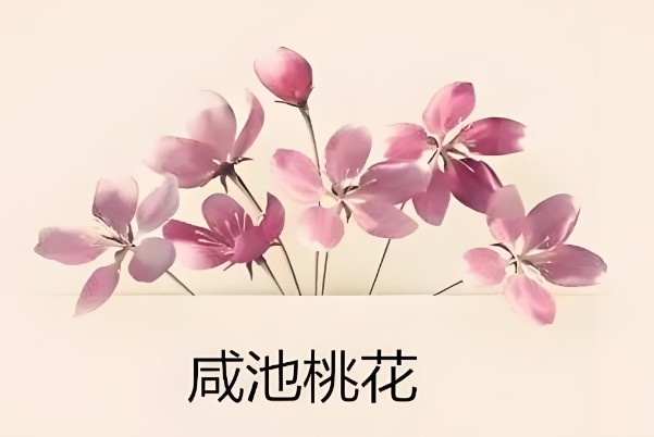 12生肖每日运势