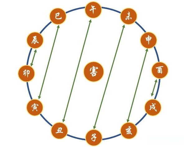 63年兔女晚年靠谁_晚年依靠谁图片