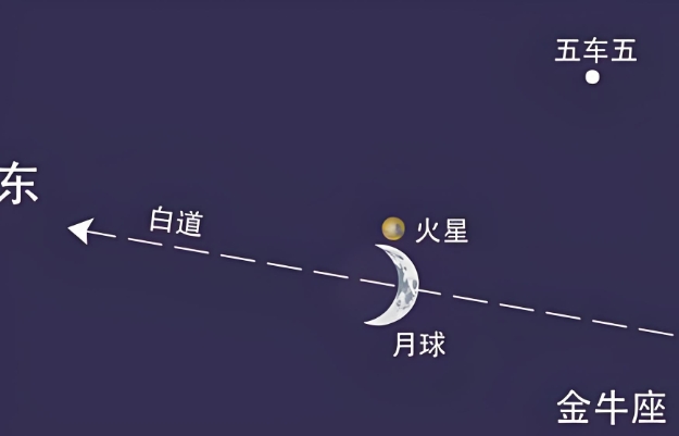 50岁到60岁梦到蛇咬自己_中年蛇咬梦图片