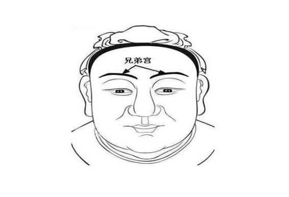 12生肖婚配属相配对表图片