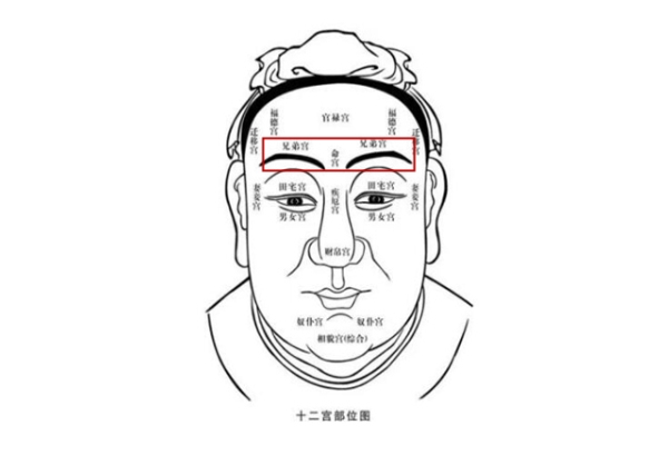 90年属什么生肖婚配表_属马婚配图片