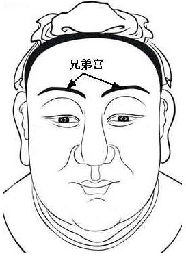 12生肖下周运势提前报_运势速递