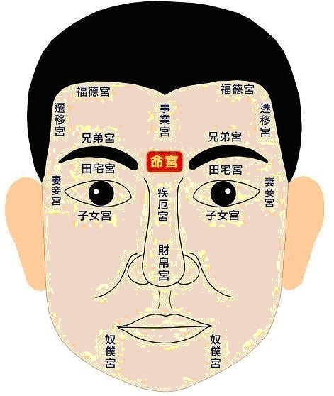 鼠牛虎兔龙蛇马羊猴鸡狗猪_生肖轮回序