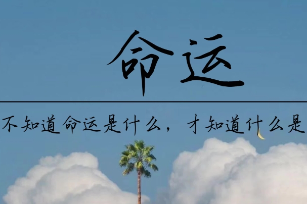 40岁女人梦见大蛇是什么征兆