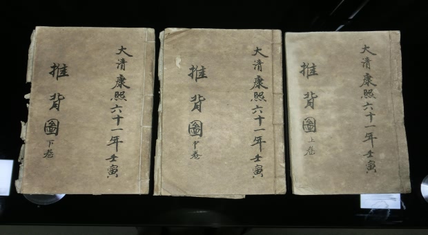 40岁女人梦见大蛇是什么征兆图片