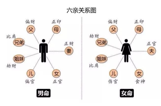 鼠牛虎兔龙蛇马羊猴鸡狗猪_生肖轮回序