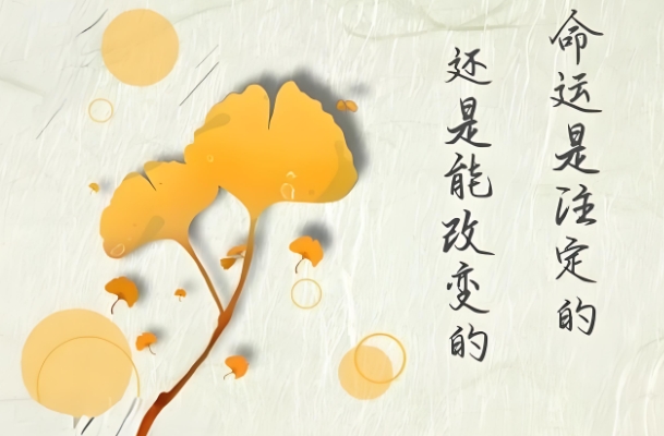 50岁大妈梦见自己怀孕图片