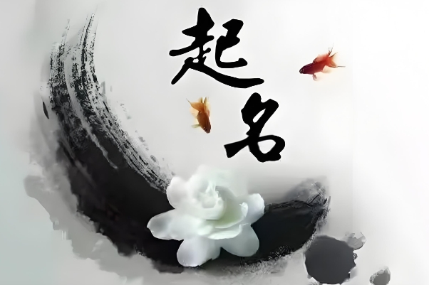 50岁到60岁梦到小孩_晚年梦见孩童