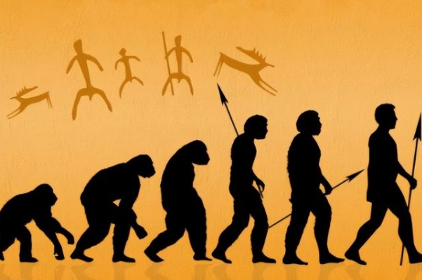 17周公解梦大全查询