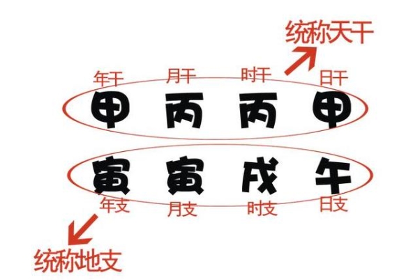 50多岁女人梦见蛇