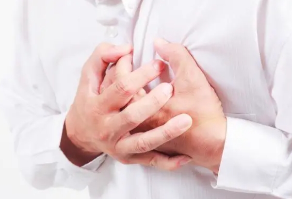 鼠牛虎兔龙蛇马羊猴鸡狗猪_轮序解读