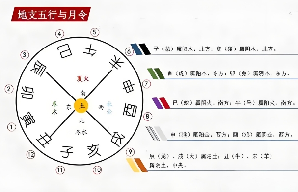 12生肖属性对照表_性格与五行对照