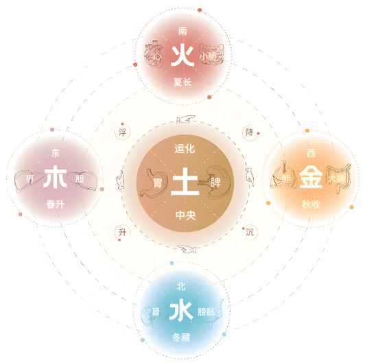 60岁一65岁老人做梦图片