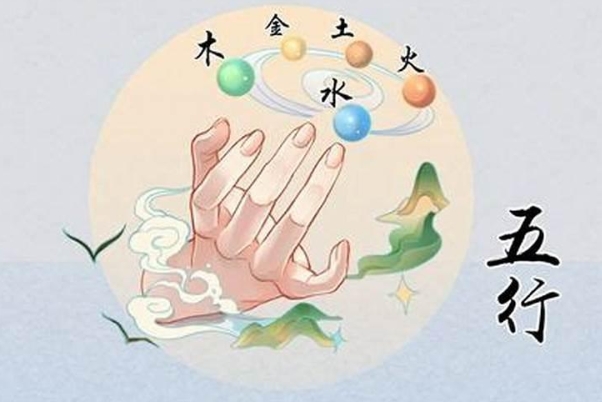 71年属猪48岁命运图片